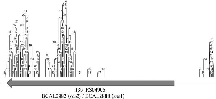 FIG 4