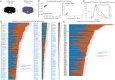 Figure 3 -
