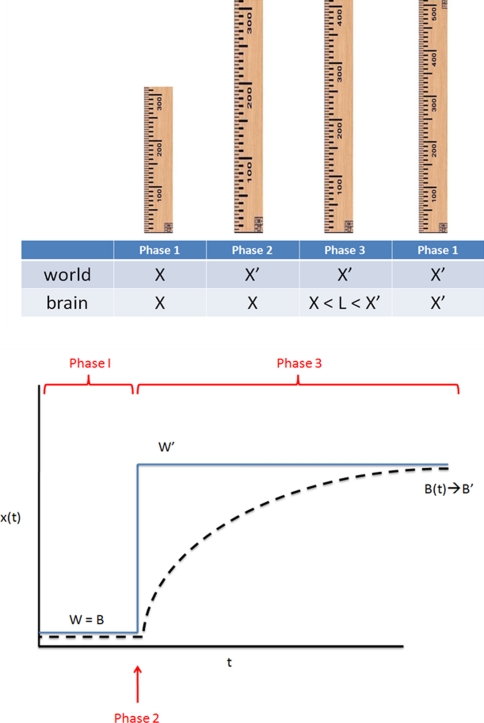 Fig. 8