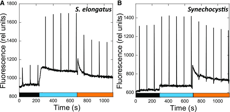 Figure 5.