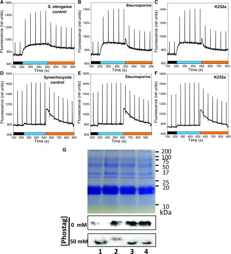 Figure 12.