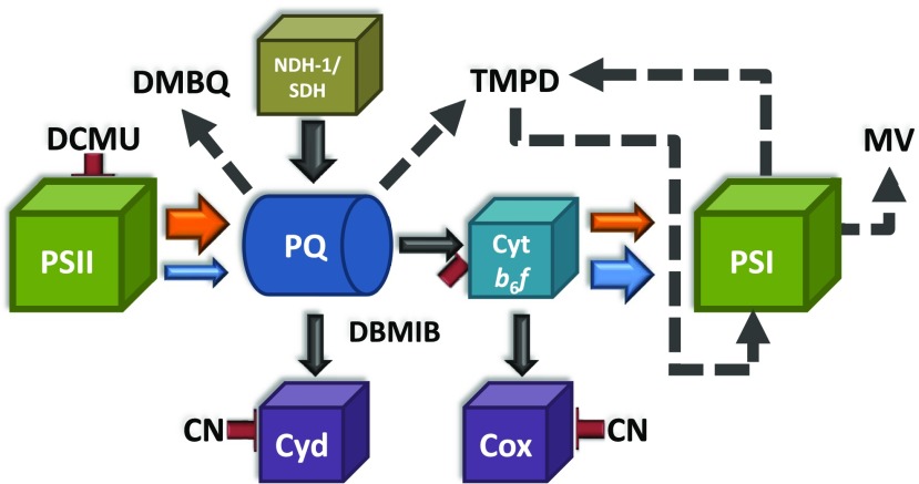 Figure 6.