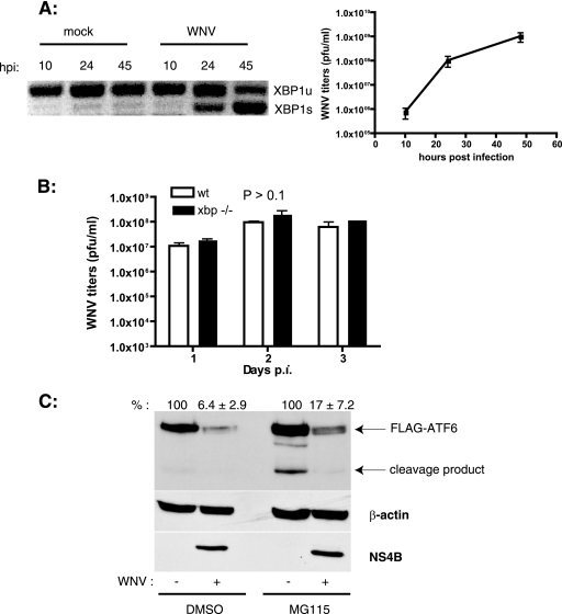 FIG. 2.