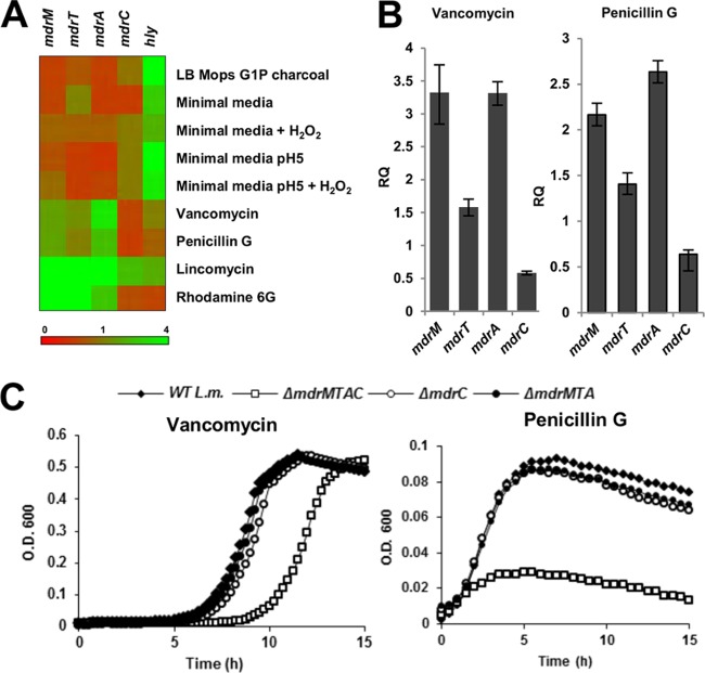 Fig 4