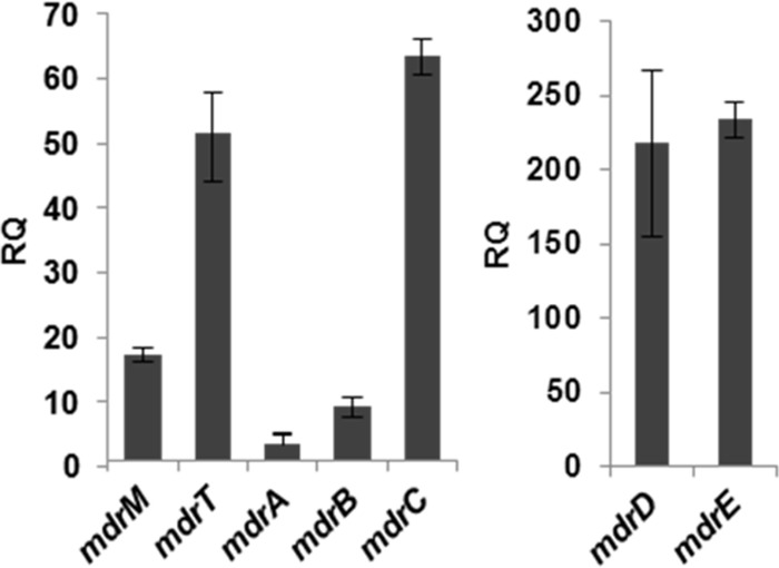 Fig 2