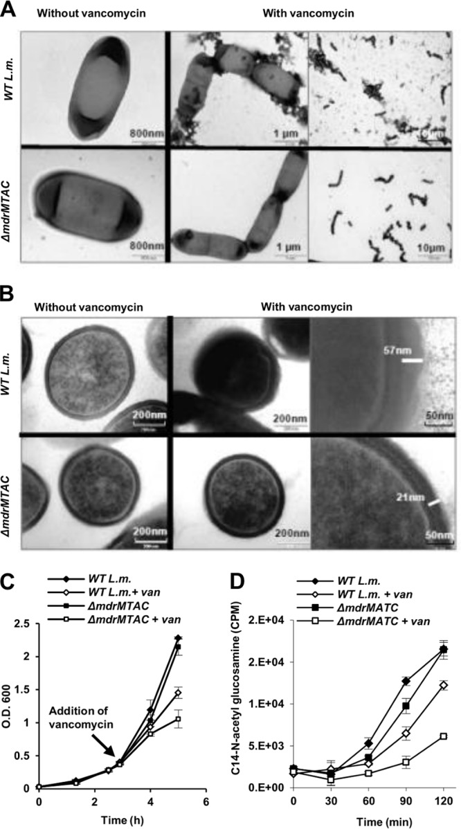 Fig 5