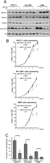 Fig 10