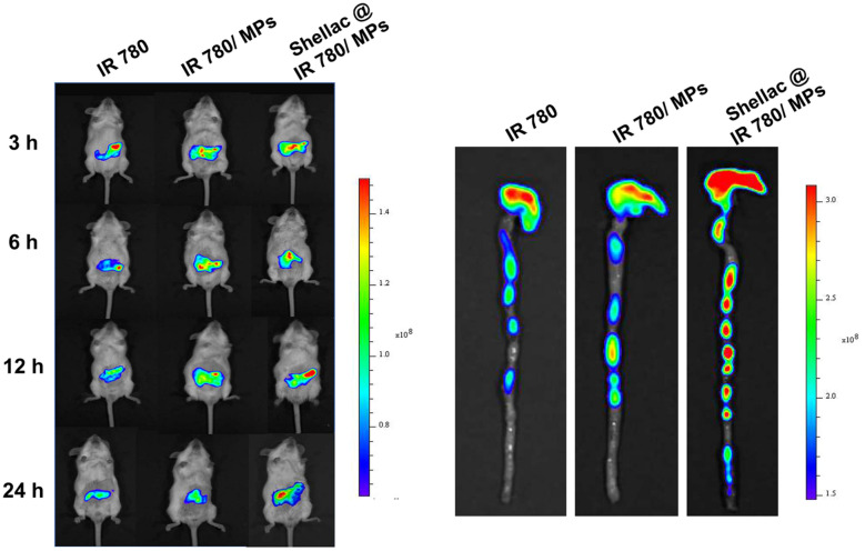 Fig. 3