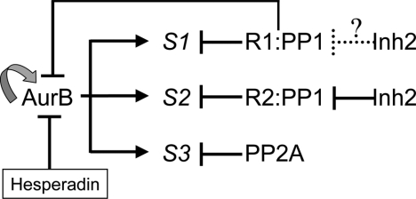 Figure 9.