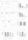 Fig. 4