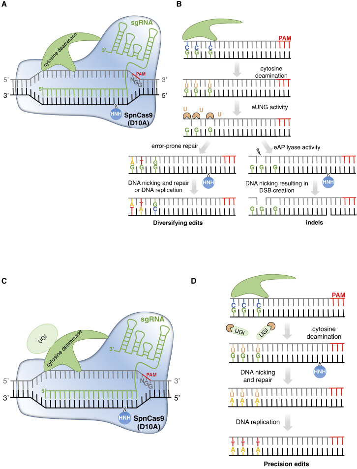 Figure 3