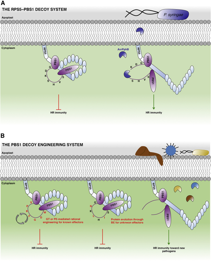 Figure 6