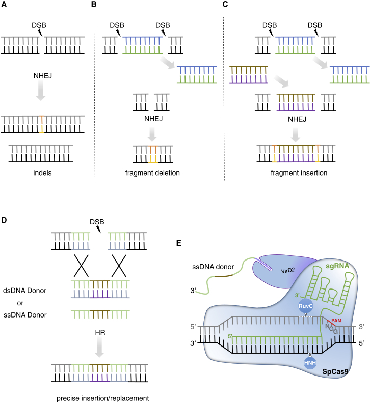 Figure 2