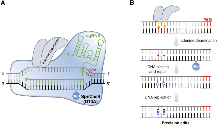 Figure 4