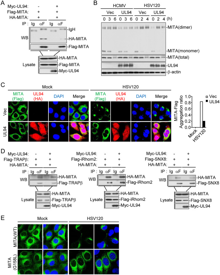 FIG 6