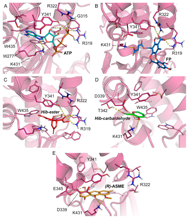 Figure 7