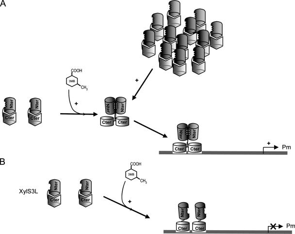 FIG. 9.