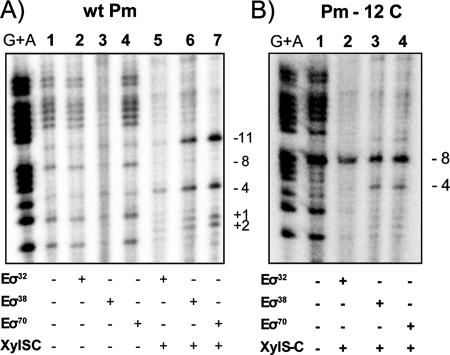 FIG. 7.