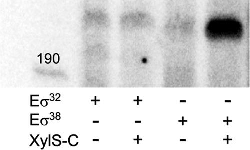 FIG. 8.