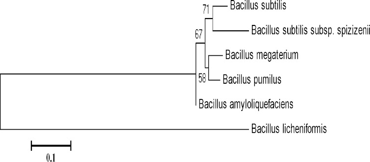 Fig. 3