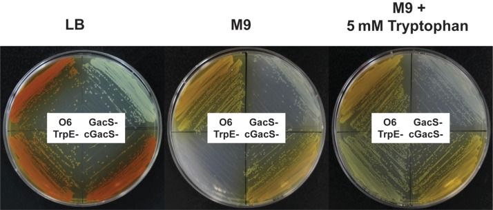 Fig. 3.