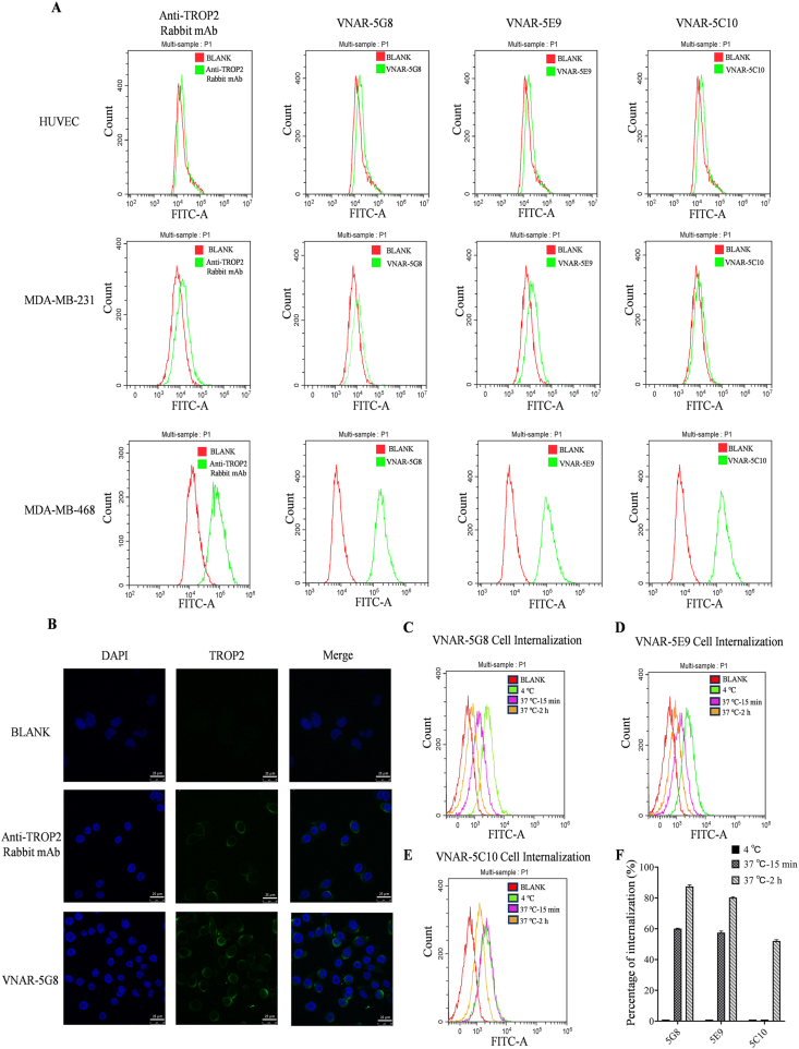 Figure 2