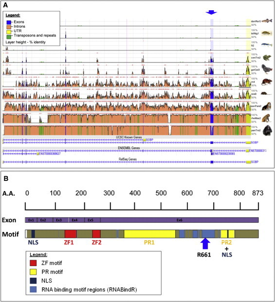 Figure 2