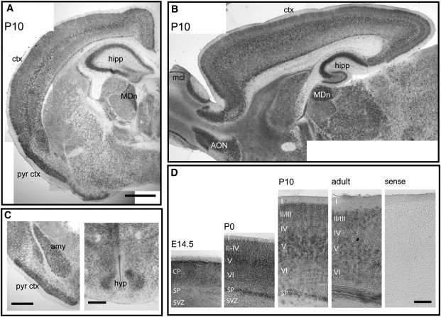 Figure 3