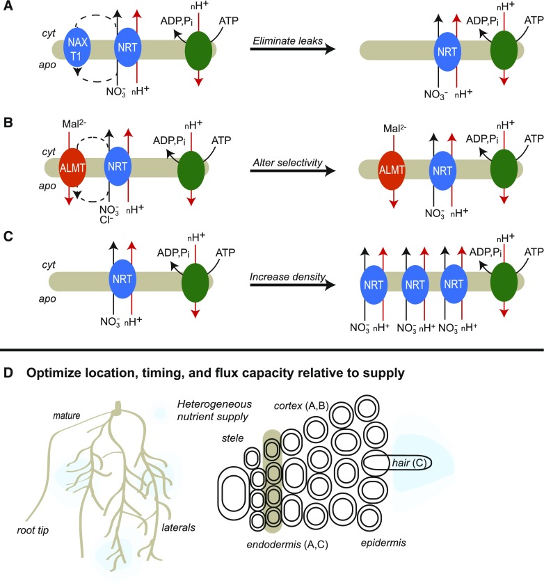 Figure 4.