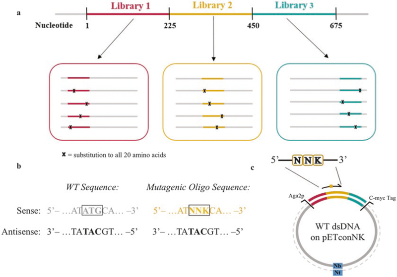 Fig. 2