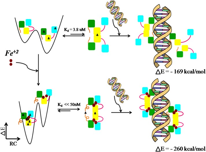 Fig 8