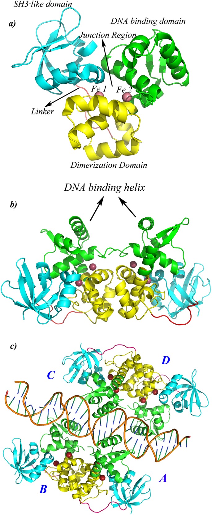 Fig 1