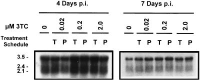 FIG. 5