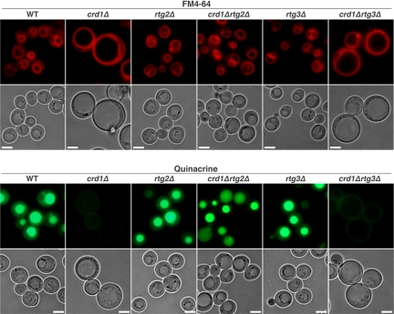 Figure 6.