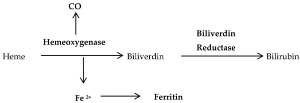 graphic file with name antioxidants-09-01156-i004.jpg