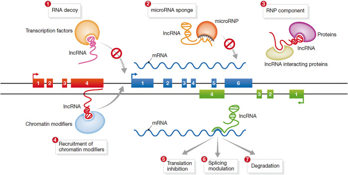 FIGURE 3