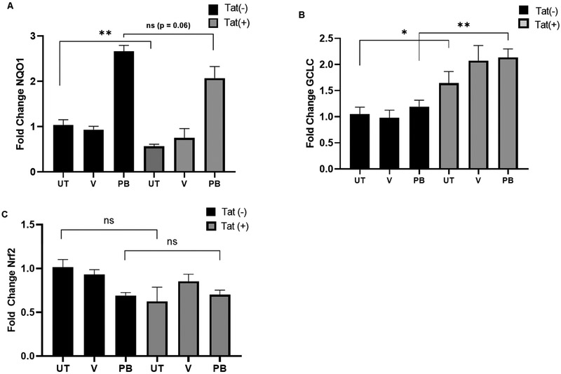 Figure 7.