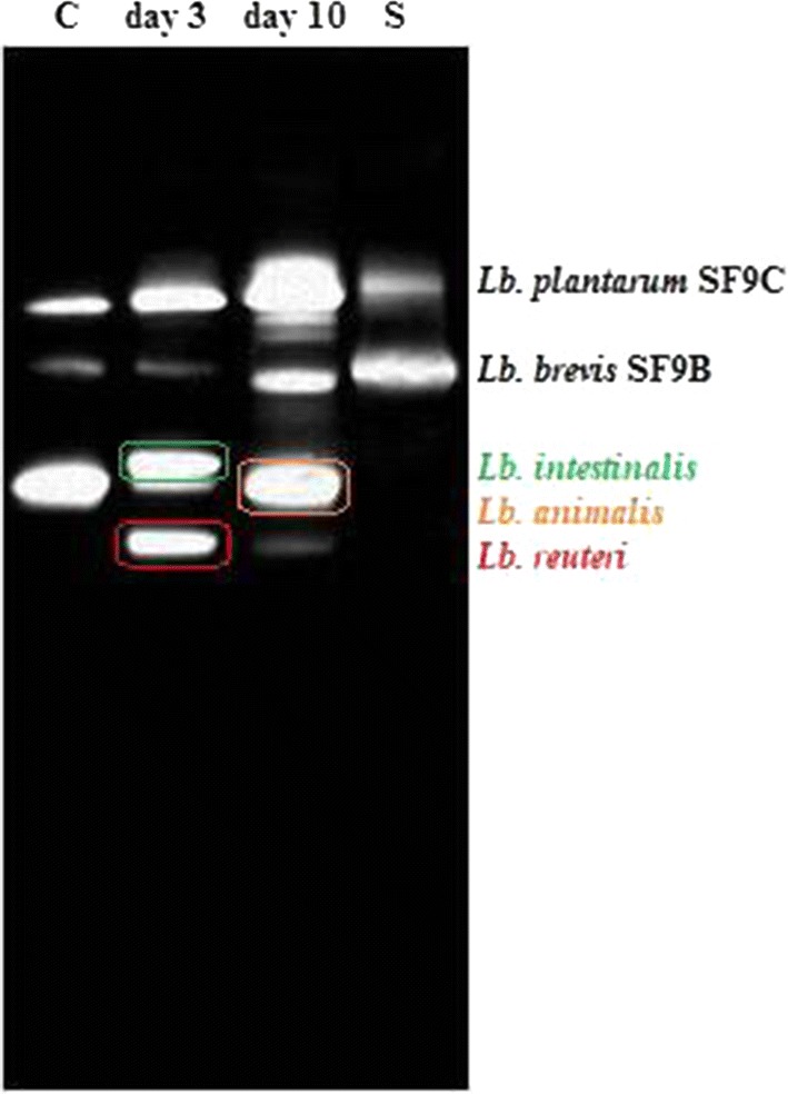 Fig. 7