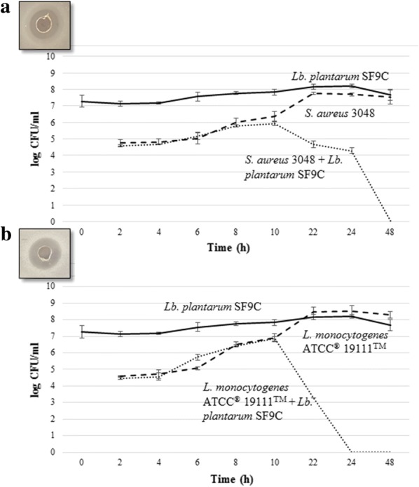 Fig. 5