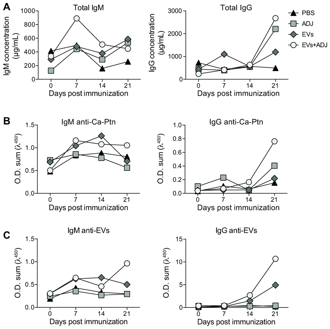 Figure 2-