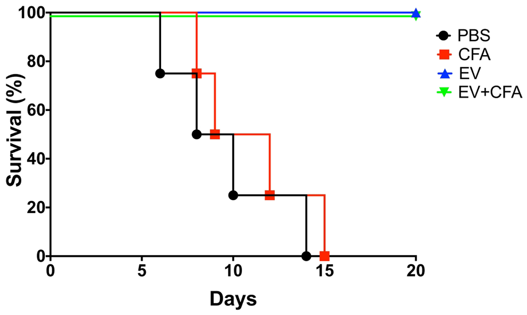 Figure 5-