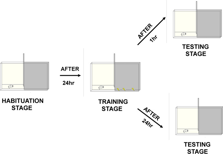 Scheme 3