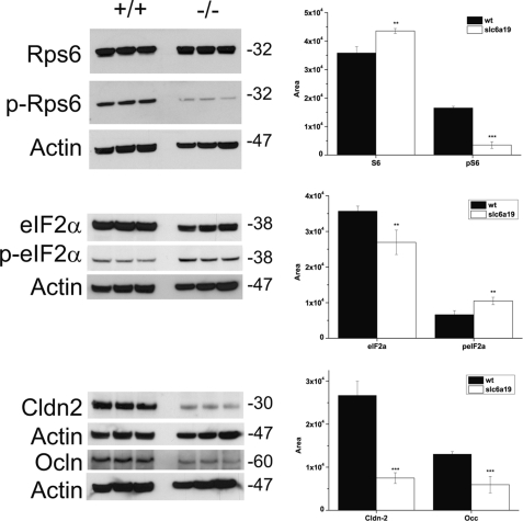 FIGURE 11.