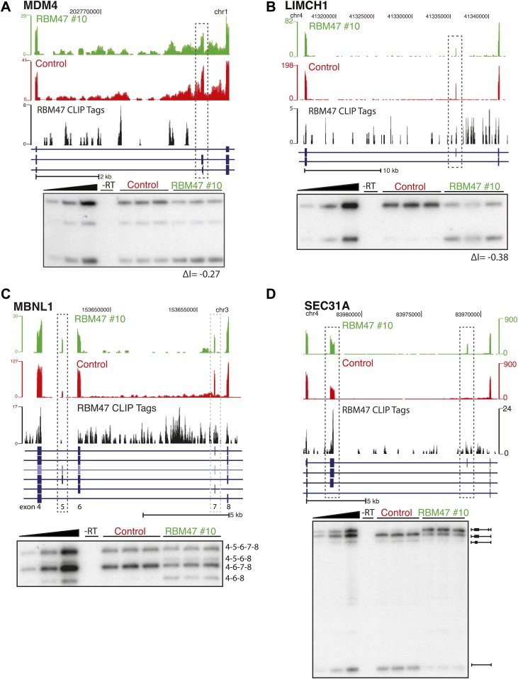 Figure 5—figure supplement 1.