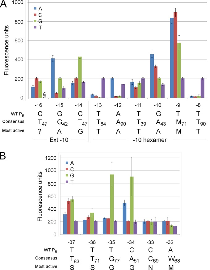 FIG 2