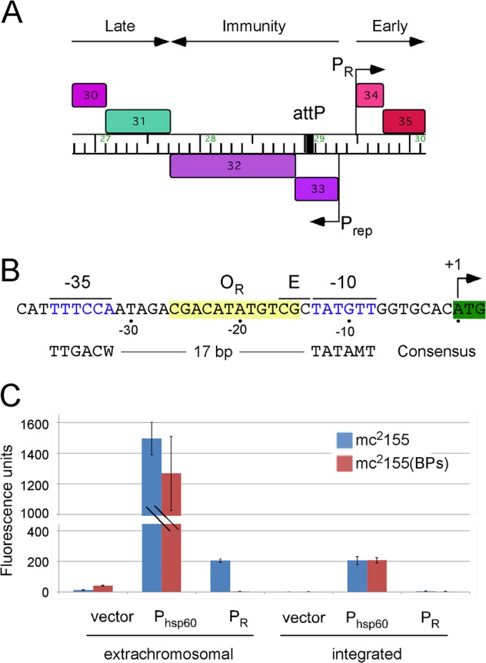 FIG 1