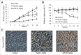 Figure 10.