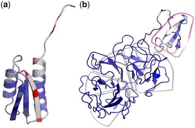 Fig. 8.