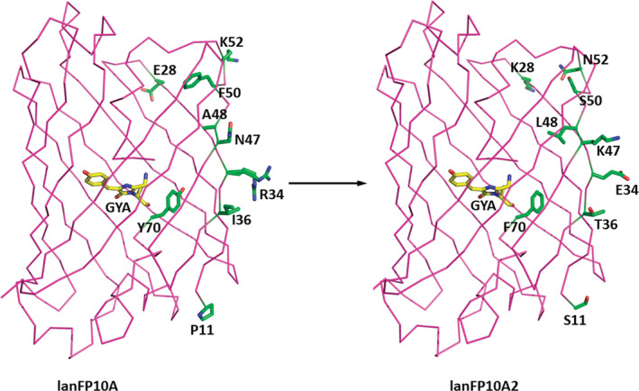 FIGURE 3