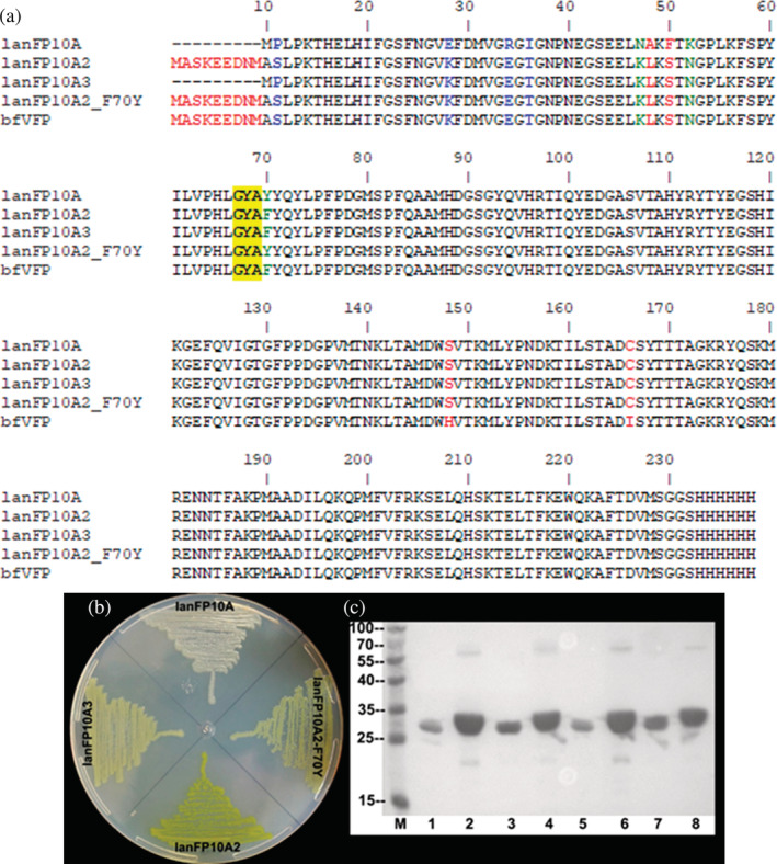 FIGURE 1